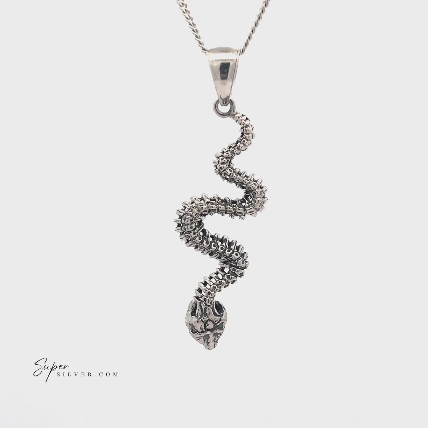 
                  
                    Charger et lire la vidéo dans la visionneuse de la galerie, Haunting Snake Skeleton Pendant
                  
                