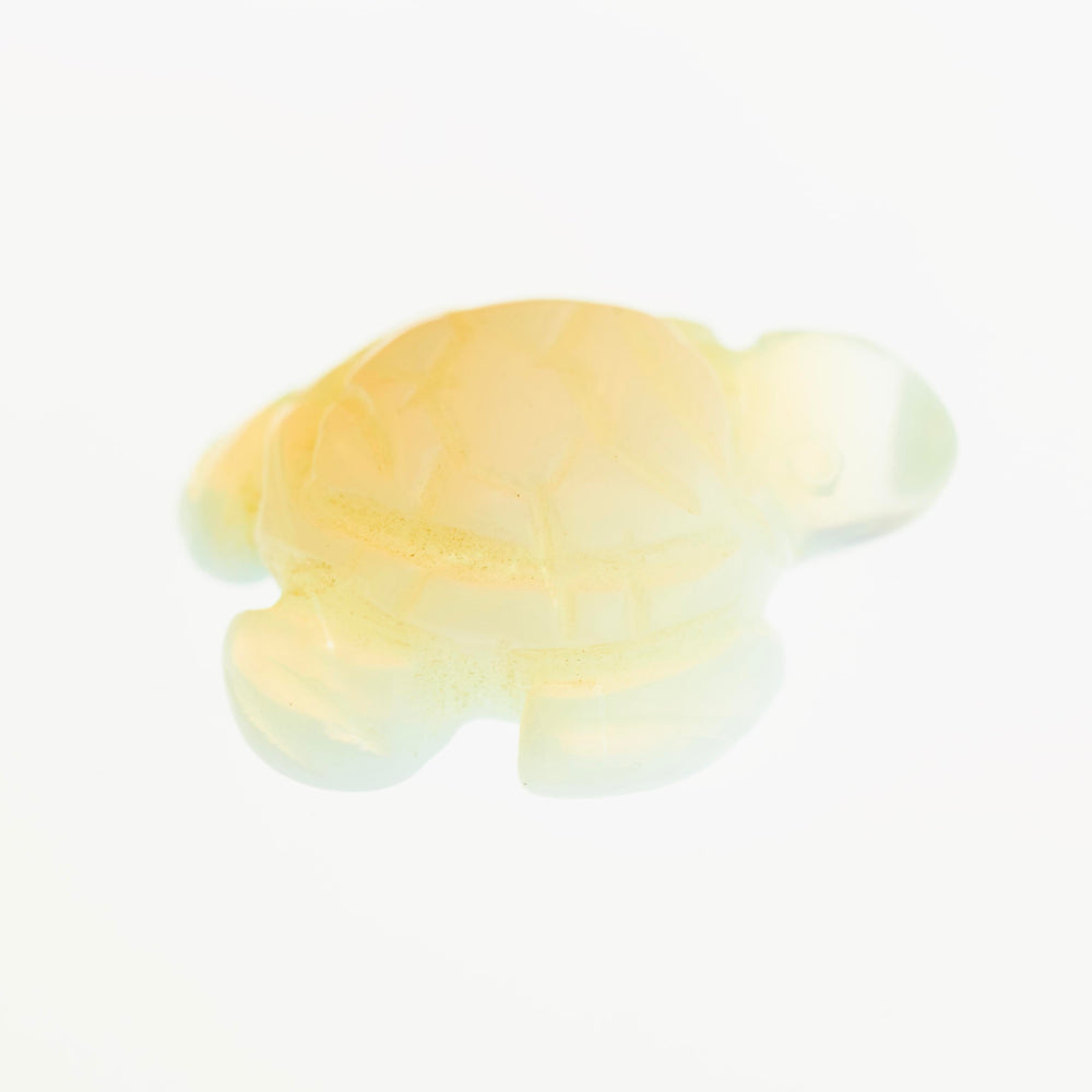 Close-up of a small, light-yellow, translucent plastic or resin turtle figurine on a white background, reminiscent of delicate Carved Turtle Gemstone Figures crafted from Aventurine.
