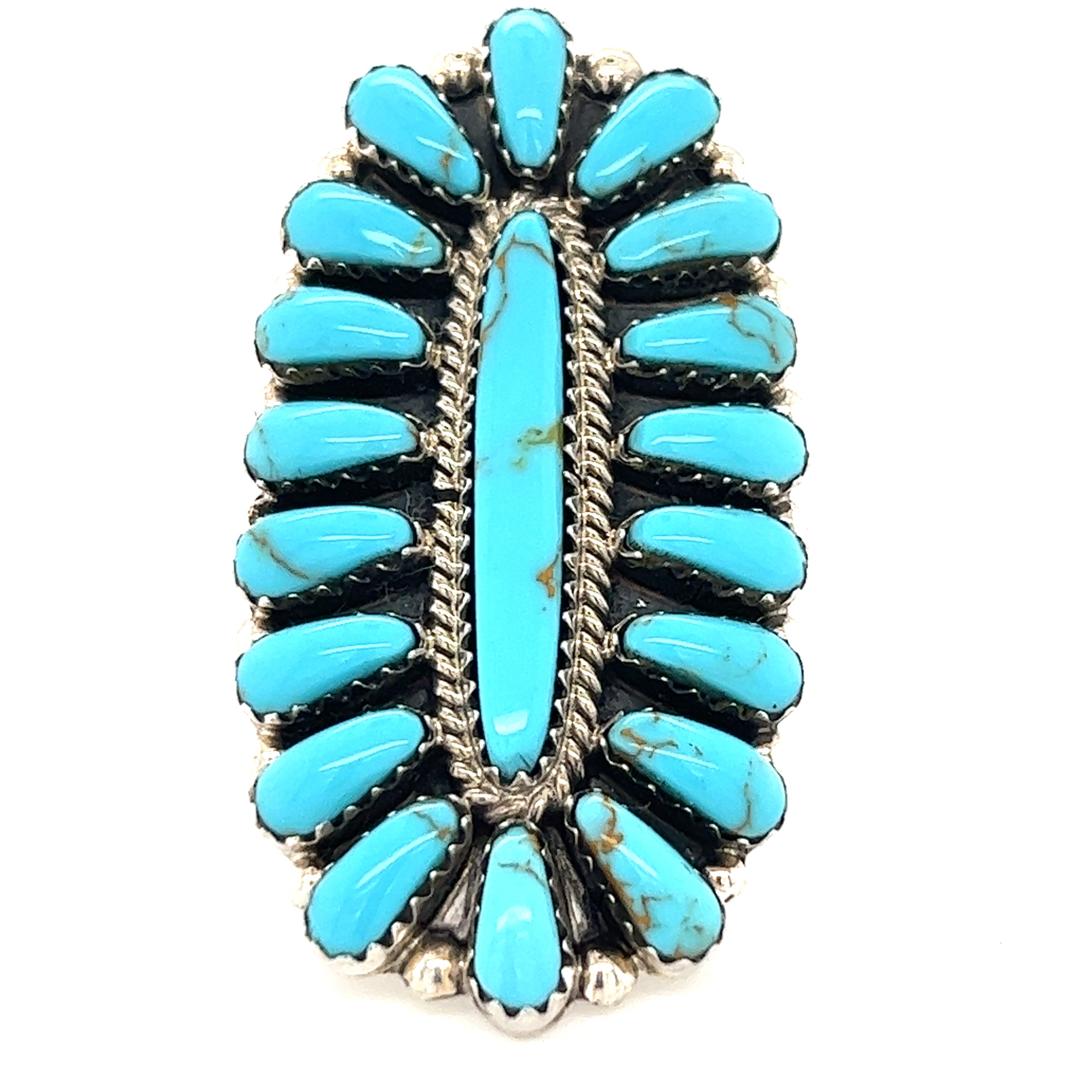 A Gorgeous Fantail Native American ring with a silver frame.