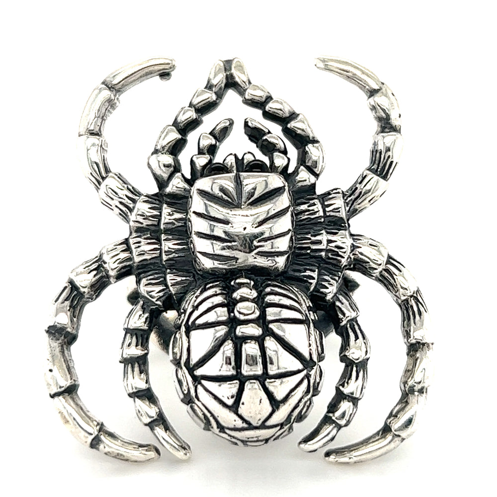 An adjustable Hauntingly Powerful Spider Ring on a white background.