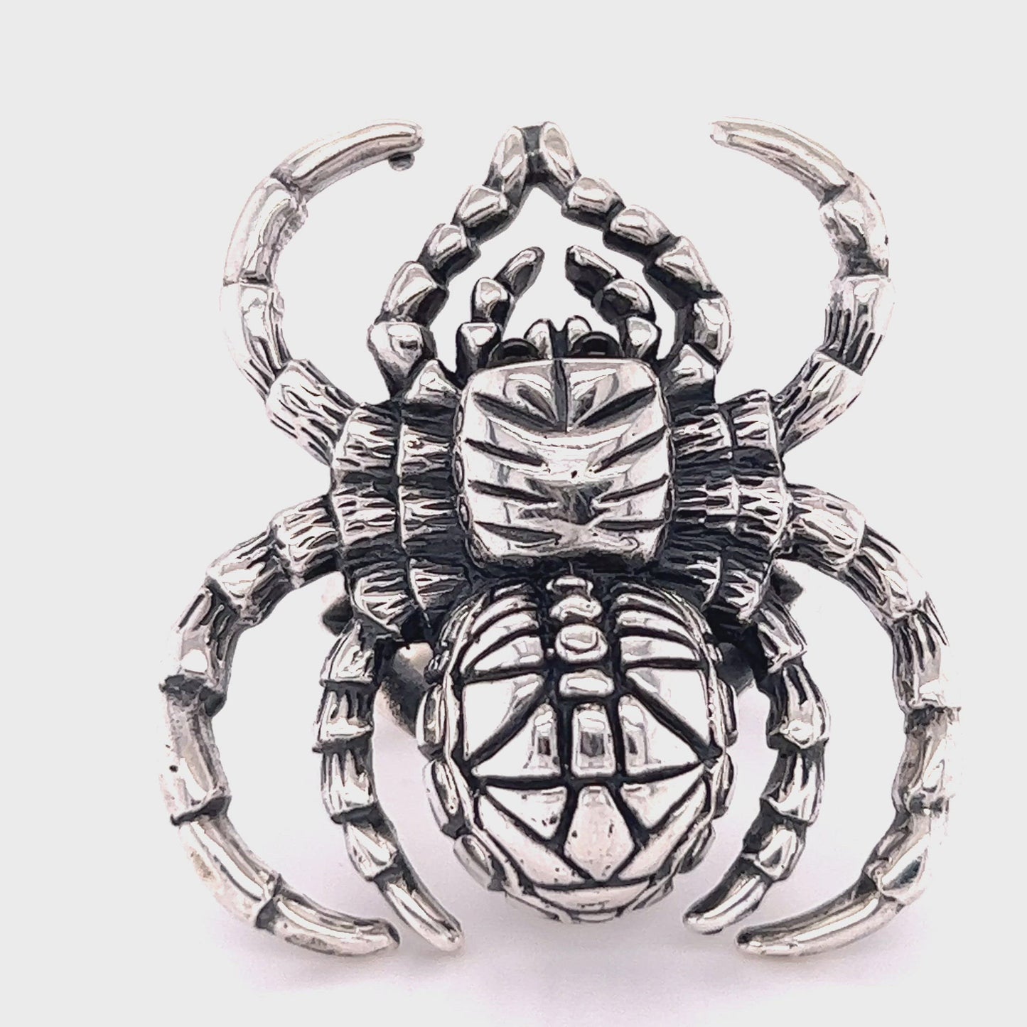 
                  
                    Load and play video in Gallery viewer, Hauntingly Powerful Spider Ring
                  
                