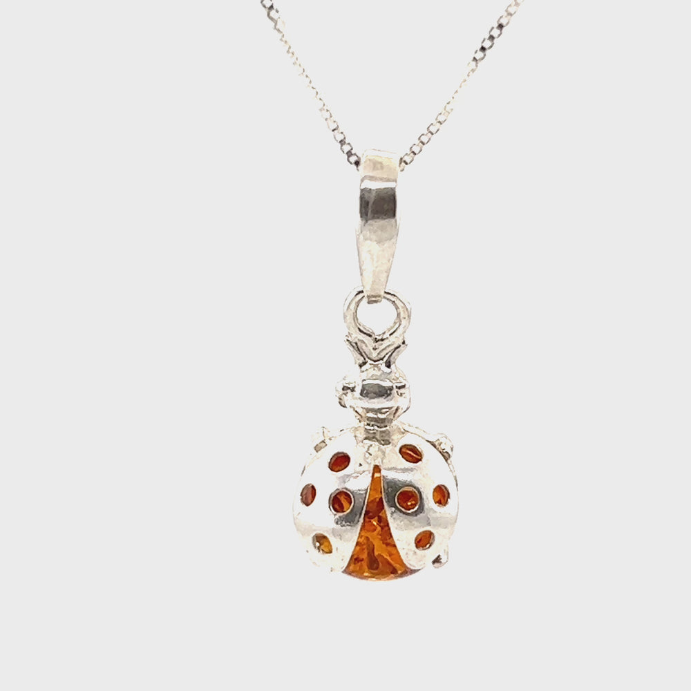 
                  
                    Load and play video in Gallery viewer, Amber Ladybug Pendant
                  
                