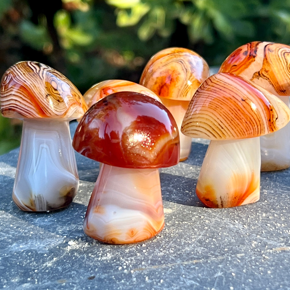A group of Banded Carnelian Mushroom Stones sitting on a stone, perfect for boho decor accents.