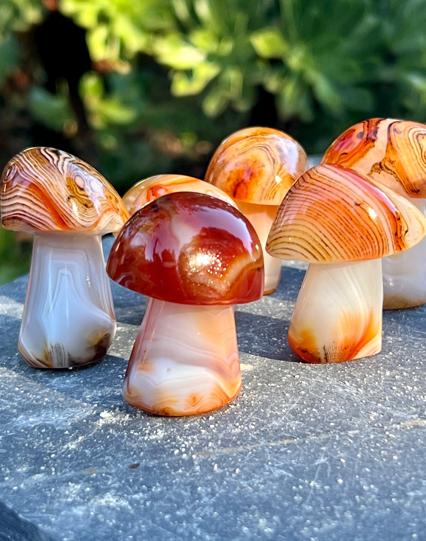 A group of Banded Carnelian Mushroom Stones sitting on a stone, perfect for boho decor accents.