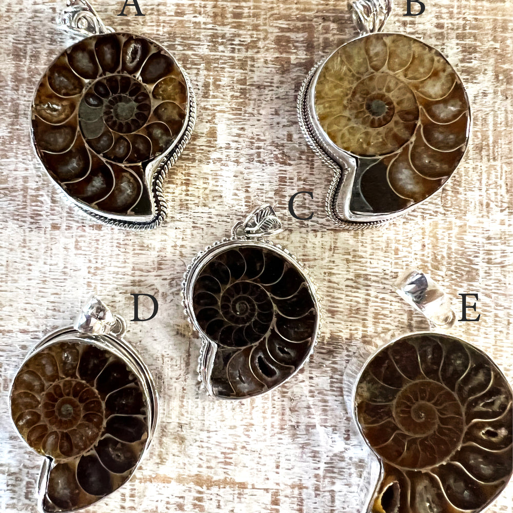 Four bold Nautilus pendants from Super Silver, showcasing fascinating fossils.