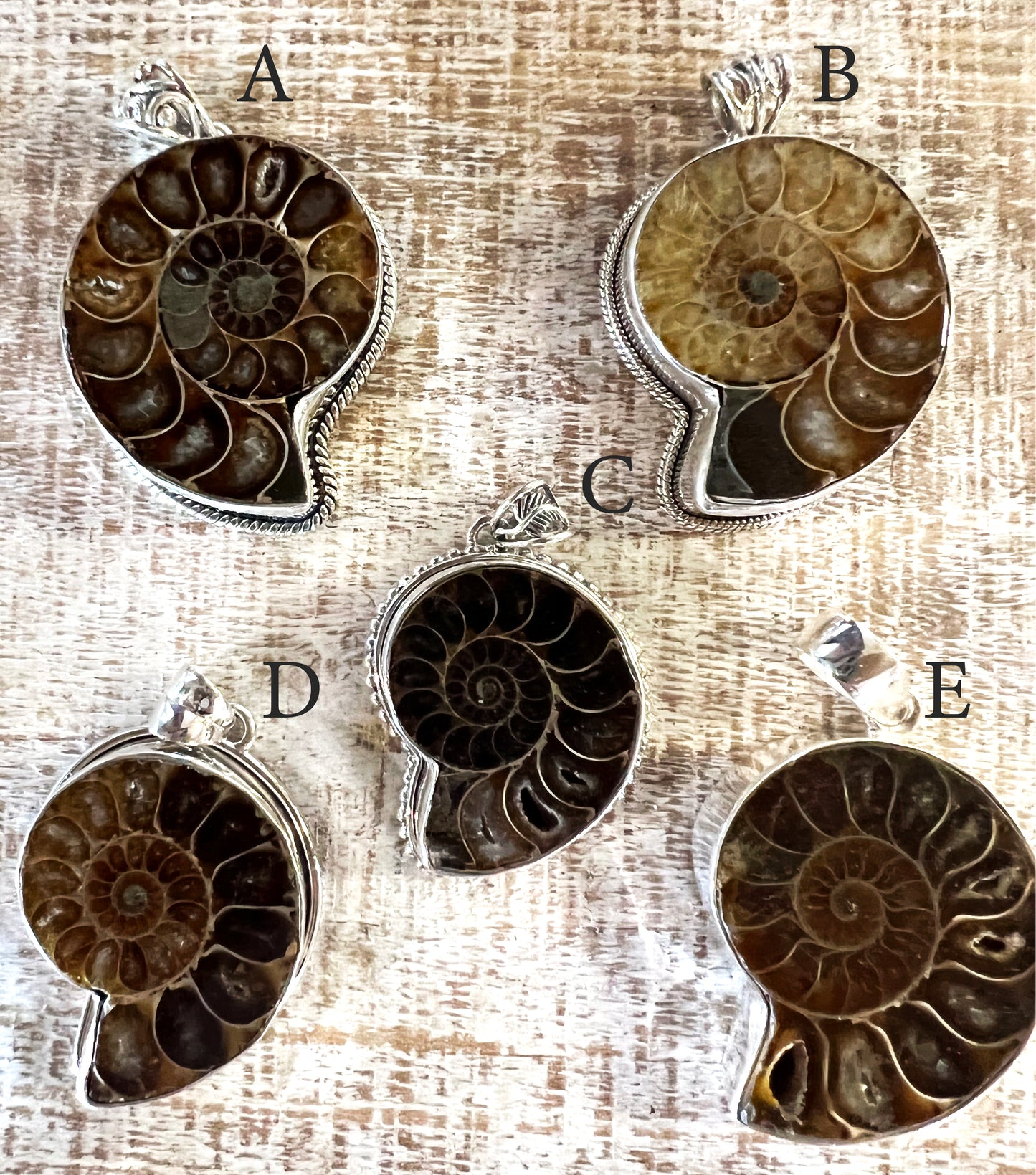 Four bold Nautilus pendants from Super Silver, showcasing fascinating fossils.