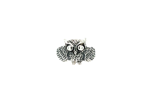 A Super Silver owl ring, symbolizing the goddess of wisdom, showcased on a serene white background.