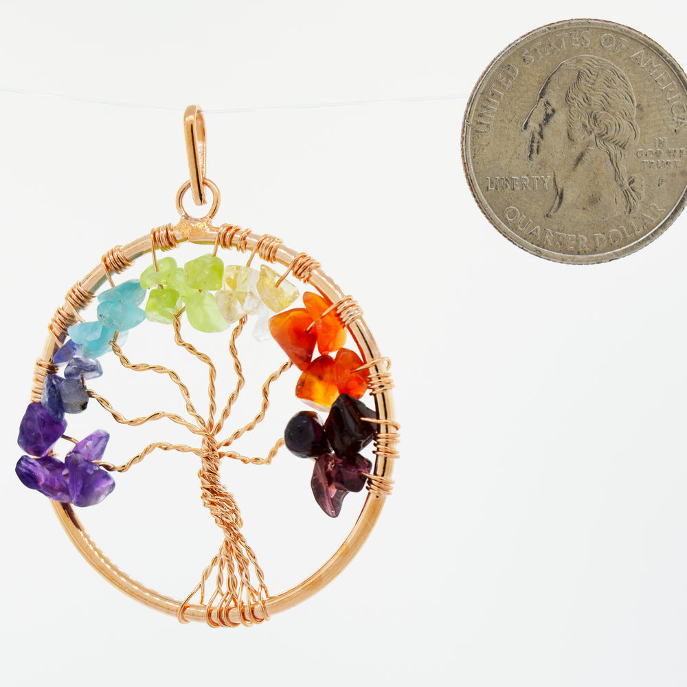 
                  
                    A Super Silver wire-wrapped Chakra Tree of Life pendant adorned with chakra stones, accompanied by a coin.
                  
                