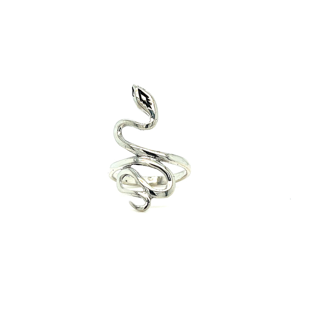 
                  
                    Coiled Snake Ring With Fine Finish
                  
                