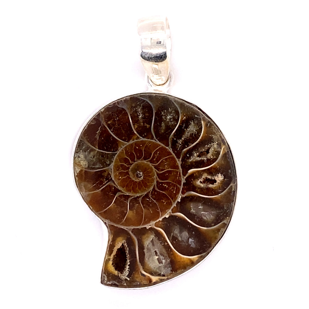 
                  
                    Striking Nautilus pendant in sterling silver, featuring bold look and fossil design, by Super Silver.
                  
                