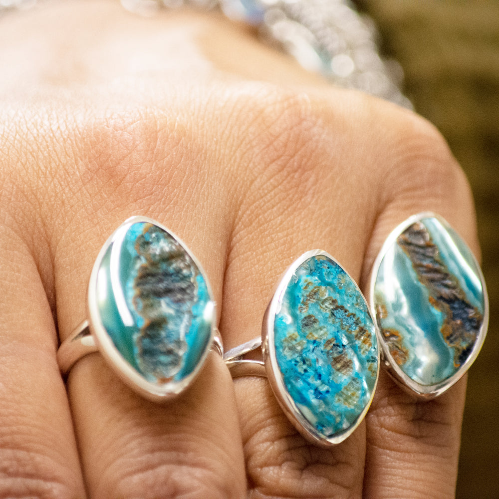 
                  
                    A woman's hand holding a pair of Super Silver Dyed Natural Abalone Rings.
                  
                