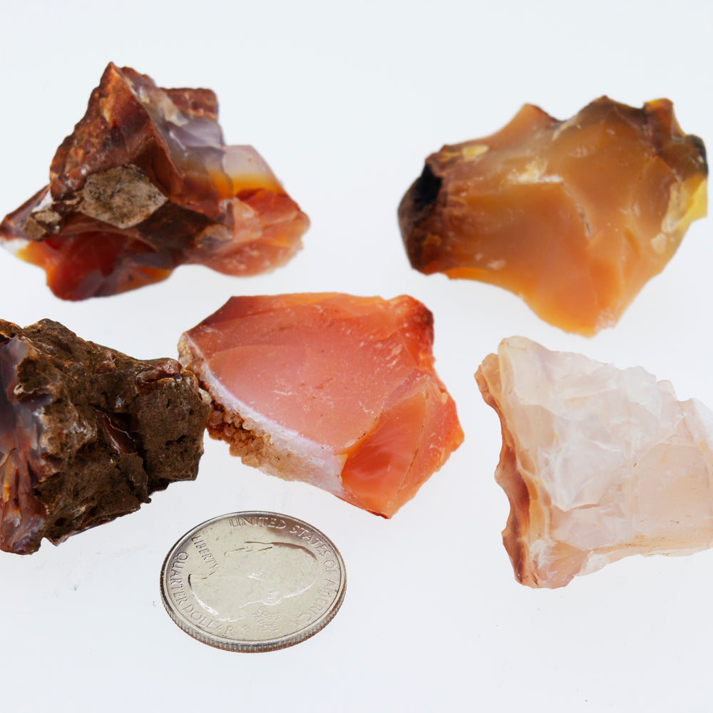 A group of Raw Carnelian Crystals next to a quarter.