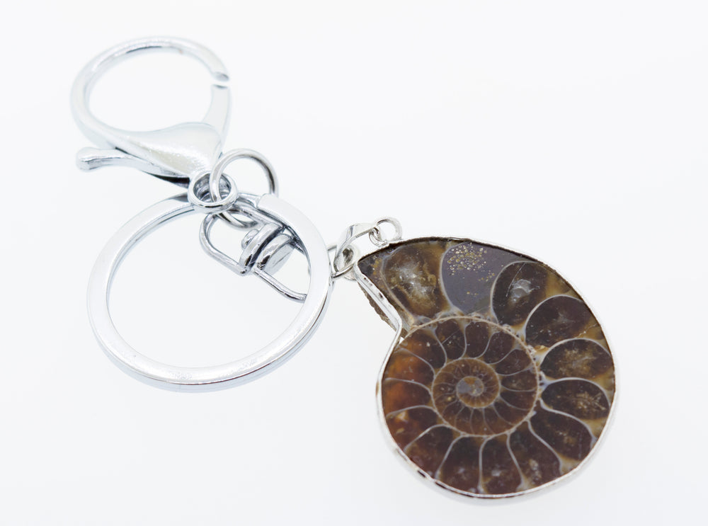 Ammonite Keychain with silver-plated key ring.