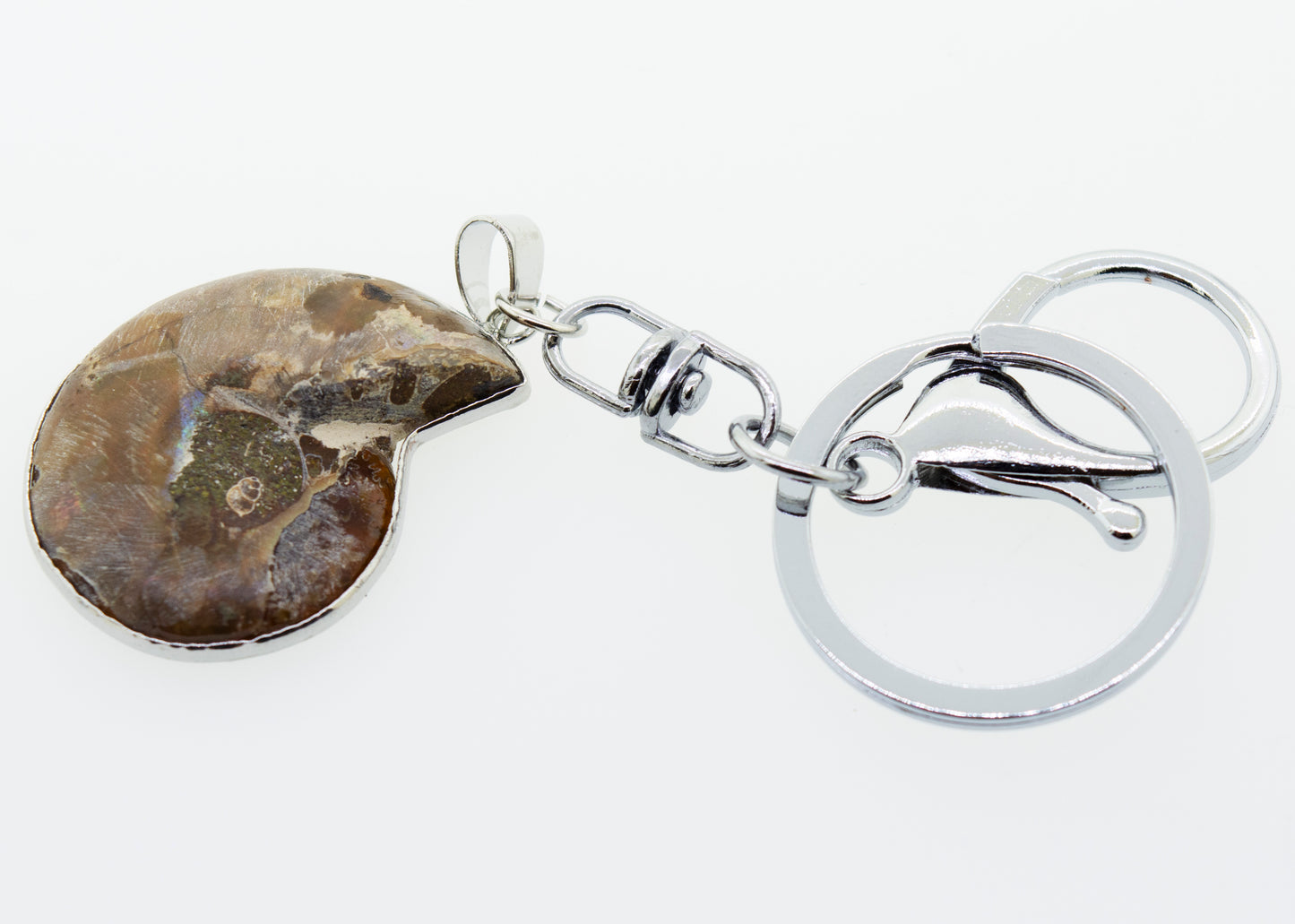 
                  
                    A silver-plated Ammonite Keychain with a Natural Ammonite Shell stone on it.
                  
                